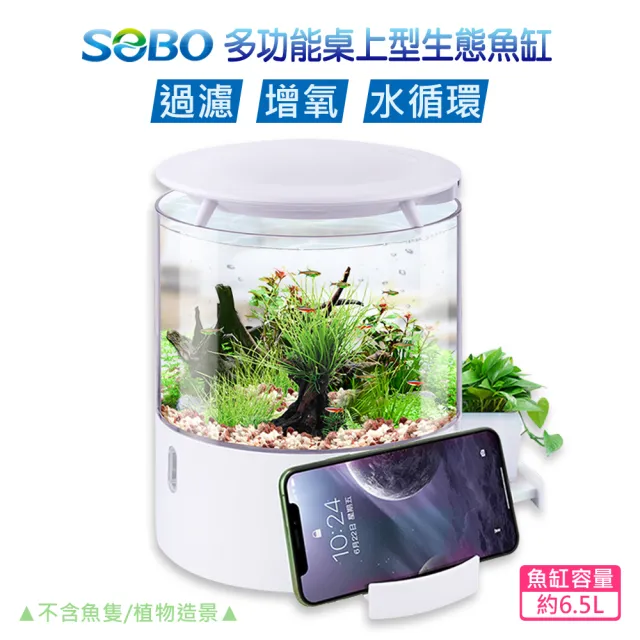 【SOBO 松寶】多功能桌上型生態魚缸 含LED燈 底部過濾(約20x20x25cm 適合養小型魚.如燈科、孔雀魚等)