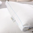 【EverSoft 寶貝墊】水洗防蹣獨立筒枕(台灣製造 彈性支撐 經久耐用)