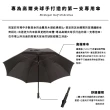 【EuroSCHIRM】全世界最強雨傘品牌 Birdiepal Rain / 雨神高爾夫球傘(高爾夫球傘)