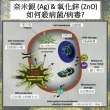 【芯霸電池】Dyson 戴森專用前置濾網3入組 台灣製造(奈米銀離子抗菌防護濾網)