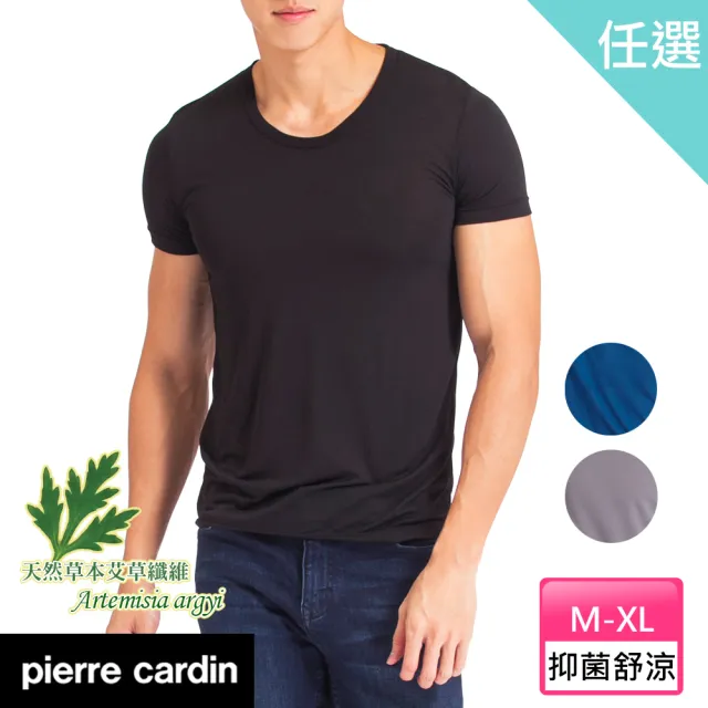 【pierre cardin 皮爾卡登】任選_艾草低敏抑菌速乾透氣短袖衫(速達單件-黑/藍/灰)