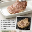 【愛上吃肉】古早味鐵路排骨20包組(嫩煎10包+厚切10包)