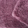 【Fuwaly】凱莉地毯-紫-200x300cm(抗菌地毯系列 CA_06)