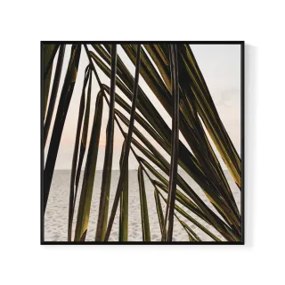 【菠蘿選畫所】棕櫚與遠洋II-40x40cm(熱帶植物海攤/海邊攝影畫作/夏天風格擺飾/新居禮)