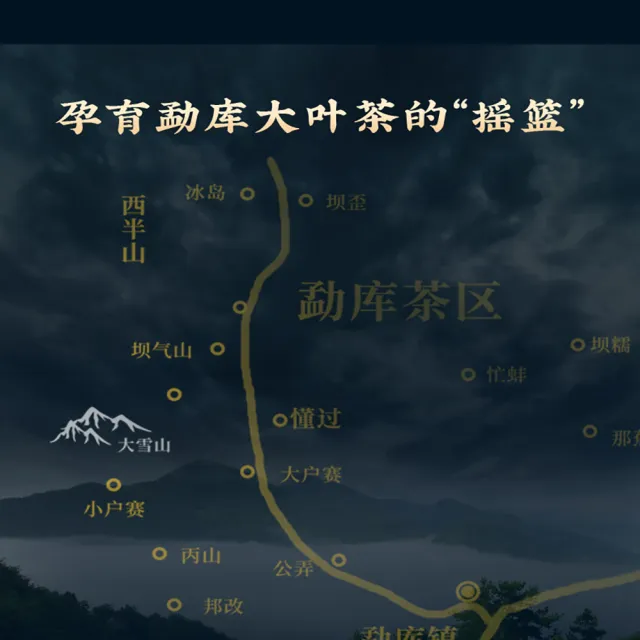 【盛嘉源】大雪山 古樹純料  2021(普洱茶   生茶 357g)