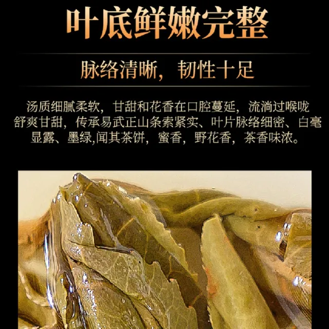 【盛嘉源】箐中古樹 易武正山  2019(普洱茶   生茶 357g)