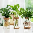 【JEN】透明小清新水培玻璃帶孔塞花瓶花器居家裝飾桌面擺飾(2款可選)