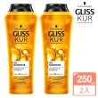 【施華蔻】GLISS KUR沙龍級堅果洗髮精 250ml 二瓶組(德國版沙龍級 修護洗髮乳 平輸商品)