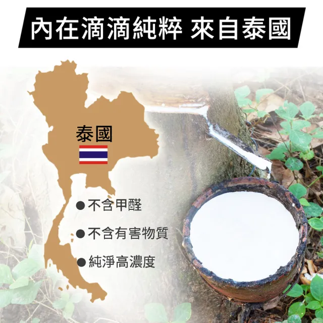 【LooCa】5cm泰國乳膠床墊-搭贈舒柔防蹣布套(加大6尺)