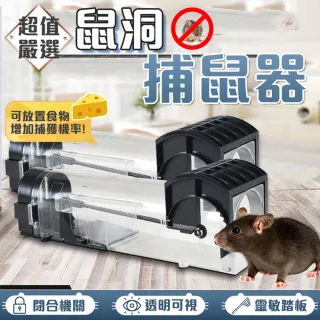 【ROYAL LIFE】鼠洞式自動關門捕鼠器(捕鼠器/驅鼠/陷阱/鼠籠/一觸即捕)
