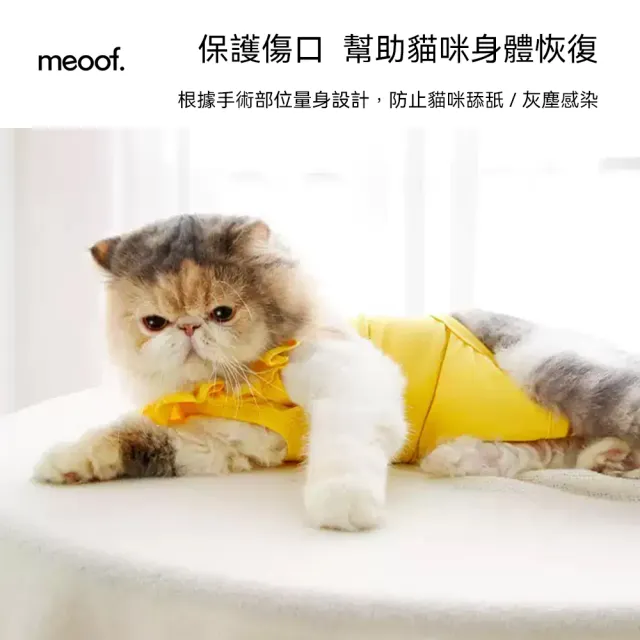 【meoof】貓咪防舔衣(手術服 絕育服 術後服 寵物結紮)