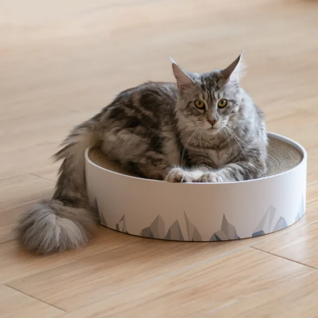 【pidan】山谷貓抓板 貓訓練 寵物玩具 室內擺設(選用高質量瓦楞紙 環保且厚實)