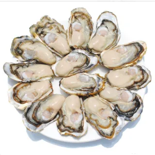 【一手鮮貨】日本室津原裝生食級牡蠣(2L/100-120顆原箱/一年生/生蠔)