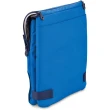 【THERMOS】日本 THERMOS 20L 藍色 保冷袋(保溫袋 保冰袋  露營 野餐 食物 飲料)