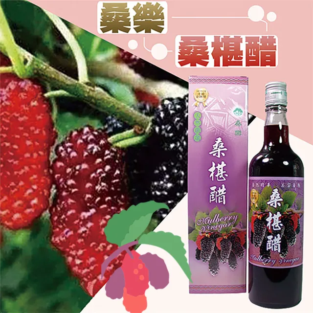 【2026】桑椹醋推薦10款高評價桑椹醋品牌排行 | BALIMAN情報局