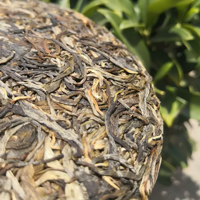 【盛嘉源】2020 薄荷塘(普洱茶   生茶 357g)