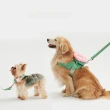 【Vetreska 未卡】犬用牽引繩三合一套裝(牽繩、胸背帶、造型後背包 一次滿足)
