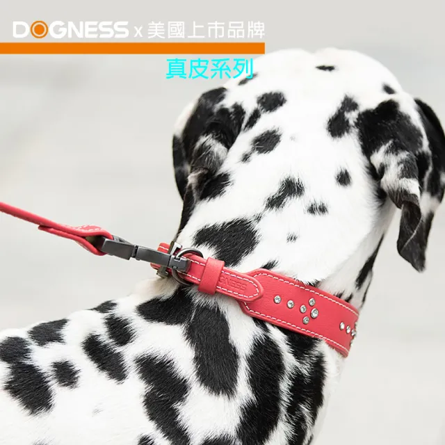 【美好寵商】DOGNESS多尼斯 真皮系列鑽石牽引繩_S號(寵物牽繩 戶外牽繩 狗牽繩)