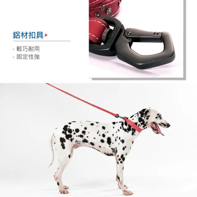 【美好寵商】DOGNESS多尼斯 真皮系列鑽石牽引繩_S號(寵物牽繩 戶外牽繩 狗牽繩)