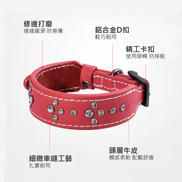 【美好寵商】DOGNESS多尼斯 真皮系列鑽石項圈_M號(狗項圈 狗狗項圈 真皮項圈)