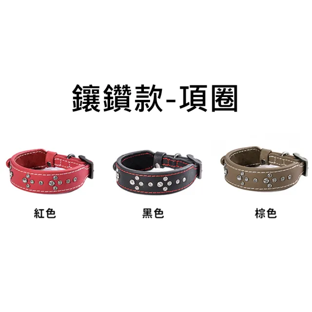 【美好寵商】DOGNESS多尼斯 真皮系列鑽石項圈_M號(狗項圈 狗狗項圈 真皮項圈)