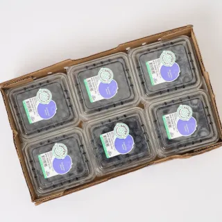 【RealShop】美國空運藍莓14-16mm 原箱出貨 12盒 約1.5kg±10%(真食材本舖)