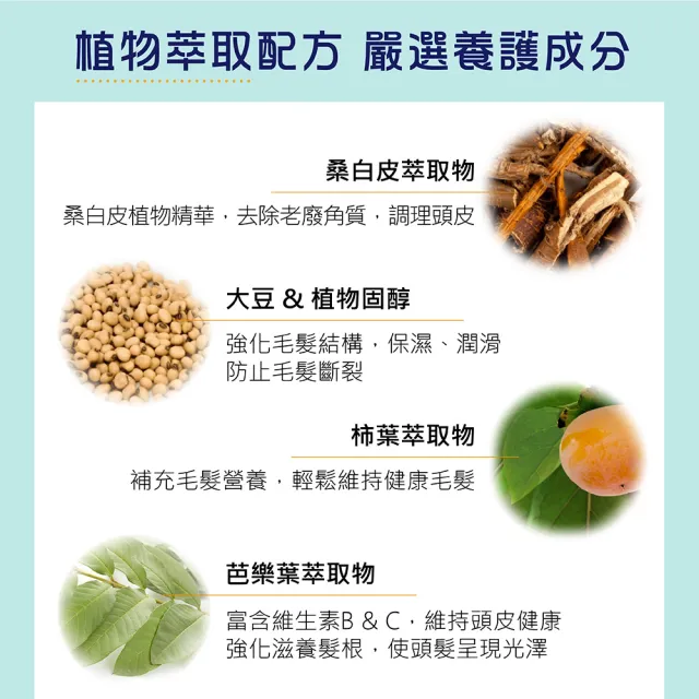 【髮之泉】深層滋養毛髮賦活濃粹精華液5入組(植萃養髮液 日本製)
