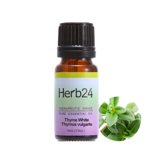 【草本24】活力能量精油三件組｜含：迷迭香、苦橙葉、百里香精油 各10ml(重拾信心 充盈能量必備)