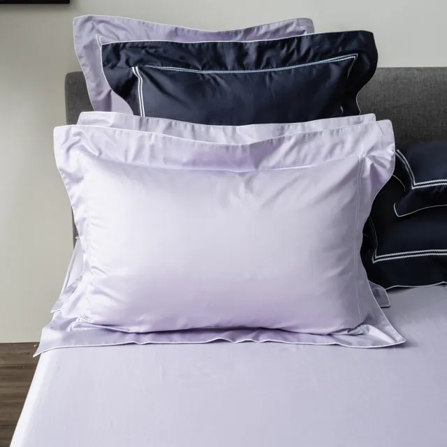 【HOLA】艾維卡埃及棉刺繡歐式枕套2入晨紫