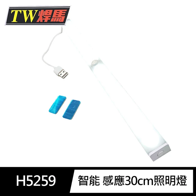 TW焊馬 H5259 LED智能 人體 感應 開關 充電式30cm照明燈(露營燈120°照明)