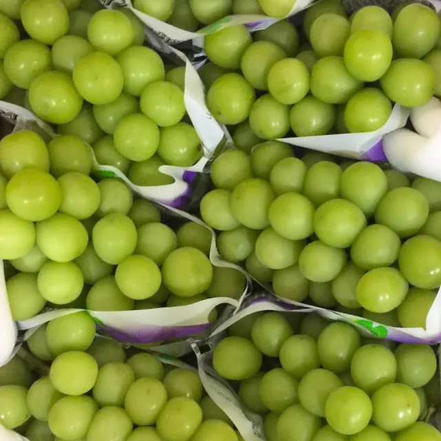 【RealShop】日本麝香綠無籽葡萄5kg±10%/箱(共9-11串 原裝箱 團購)