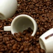【KIMBO】義大利 Prestige 中培極緻咖啡豆 1000g