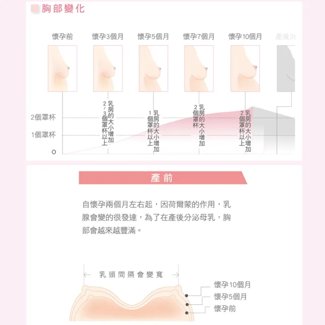 【寶貝媽咪】懷孕產前產後兼用 D-E罩杯孕婦內衣 MB3508PI(粉)