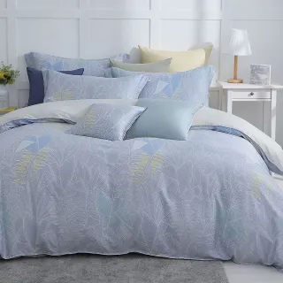 【HongYew 鴻宇】60支100%天絲 薄被套床包組-艾斯本(雙人)