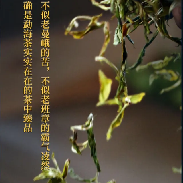【盛嘉源】2020 賀開(普洱茶   生茶 357g)