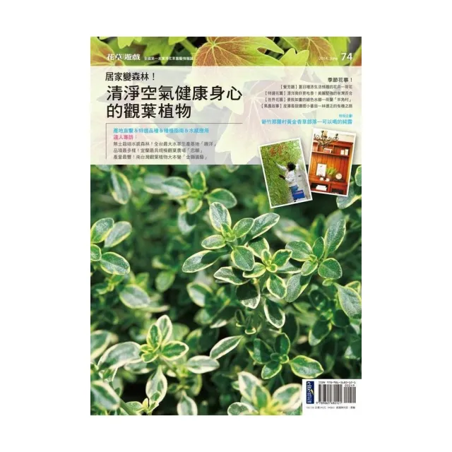 花草遊戲No.74 居家變森林！清淨空氣健康身心的觀葉植物 | 拾書所