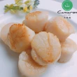 【Camaron 卡馬龍】北海道生食級干貝2入組(1公斤)