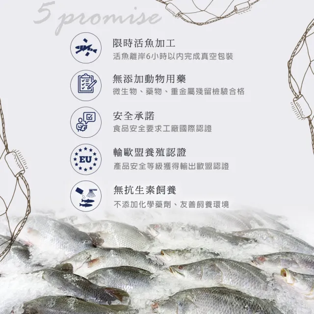 【台江農業】停不下來的好味道｜一夜干-阿根廷魷魚4包組（250-300g 2尾/1包）