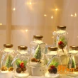 【iSFun】聖誕風情＊許願玻璃瓶微景觀小夜燈(2色可選)