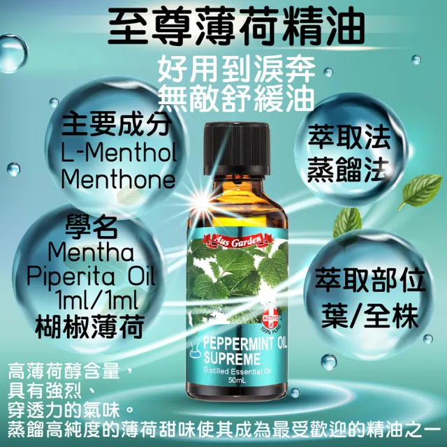 【Ausgarden 澳維花園】薰衣草、薄荷、尤加利、茶樹精油各50ml組合(提升活力 無憂靈淨四大組)