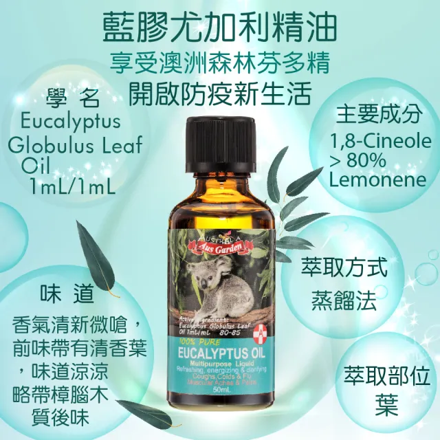 【Ausgarden 澳維花園】薰衣草、薄荷、尤加利、茶樹精油各50ml組合(提升活力 無憂靈淨四大組)