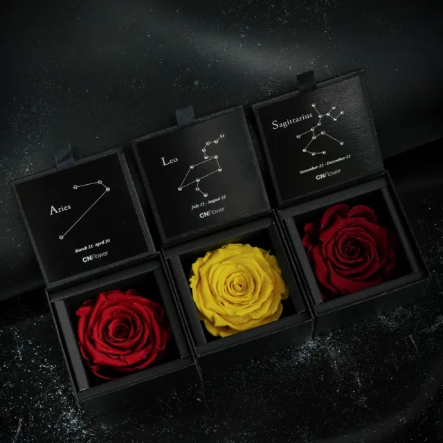 【CNFlower 西恩】星座恆星花2.0-12星座 1+1組合(送禮/買花/恆星花/花禮/星座/生日禮)