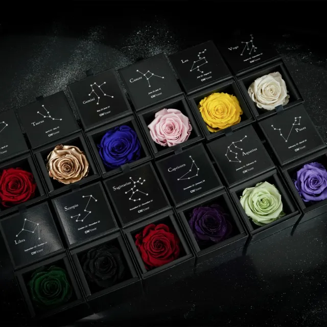 【CNFlower 西恩】星座恆星花2.0-12星座 1+1組合(送禮/買花/恆星花/花禮/星座/生日禮)