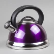Creative Home Alexa 2.85升紫色高級不鏽鋼笛音茶壺 開水壺 茶水壺 冷水壺
