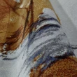 【山德力】抽象藝術短毛地毯200x290cm萊恩(時尚生活 多景搭配)