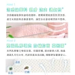 【BELLE VIE】純色 冰絲涼感QQ枕墊 美式信封枕套-2入組(45X75cm-多色任選)