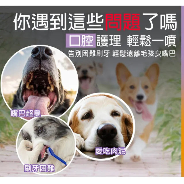 【LIKE PET】寵物口腔除臭噴劑 120ml(除口臭清潔噴霧 貓狗通用)
