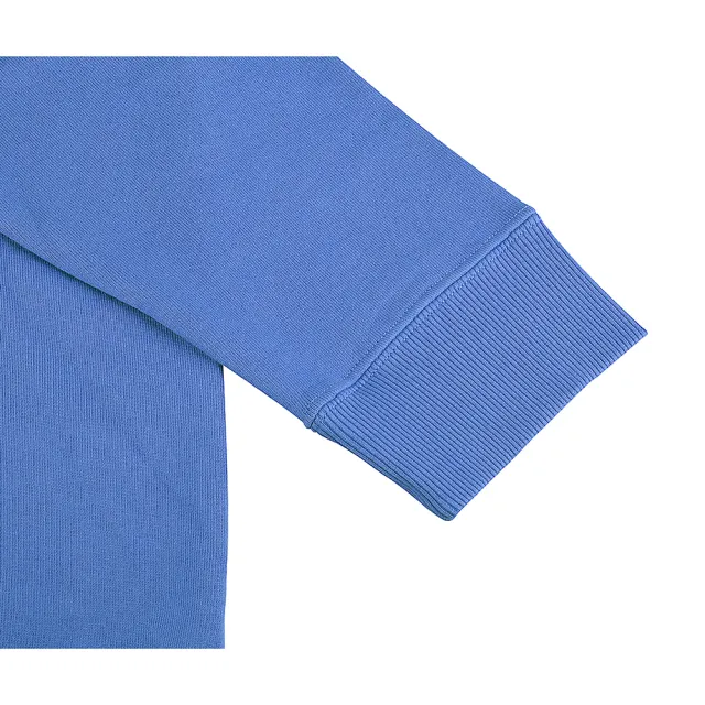 【MM6 MAISON MARGIELA】MM6 Maison Margiela字母LOGO棉質長袖連帽T恤(女款/藍)