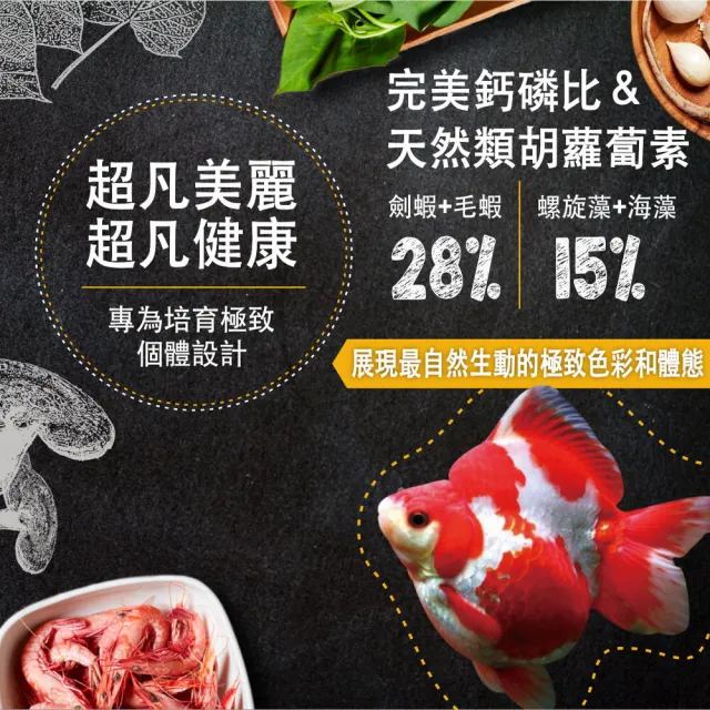 【鮮蝦食譜】特級琉金&土佐金-螺旋藻胚芽育成鮮蝦堡1150ml(金魚飼料 錦鯉幼魚 鯉魚飼料 魚飼料)