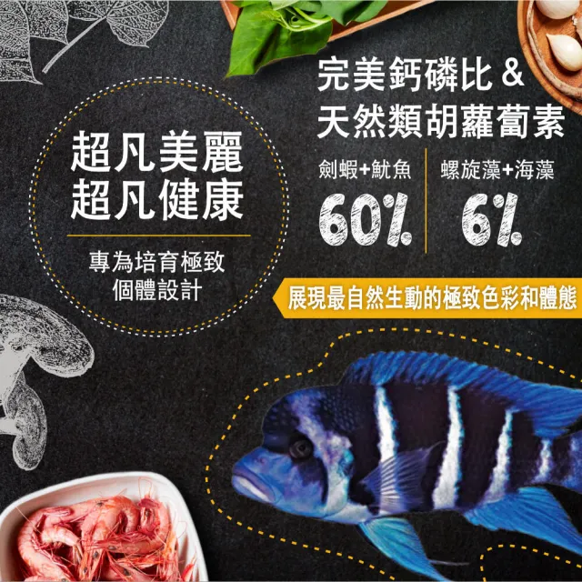 【鮮蝦食譜】肉食慈鯛＆大型熱帶魚-天然高蛋白鮮蝦堡1kg(血鸚鵡飼料 慈鯛魚飼料 羅漢魚飼料 花羅漢)